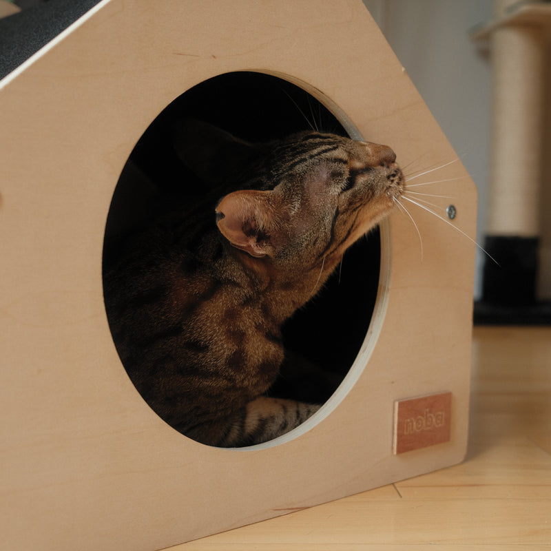 The Urban Condo Pet House-3