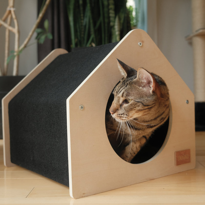 The Urban Condo Pet House-1