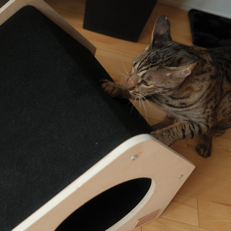 The Urban Condo Pet House-8
