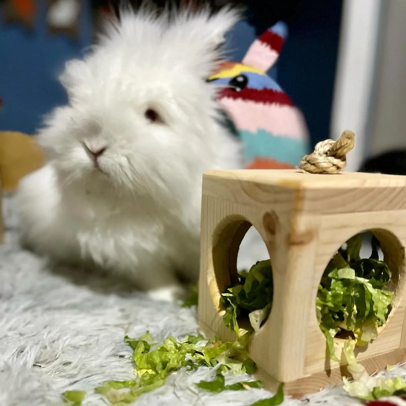 Small Animal Hay Cube-2