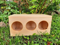 Hay Box for Bunnies & Guinea Pigs-3