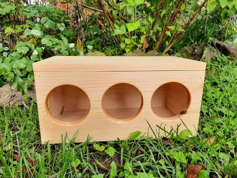 Hay Box for Bunnies & Guinea Pigs-3