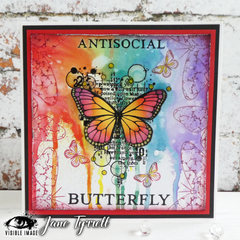 Visible Image Antisocial Butterfly - A6 Stamp Set-2