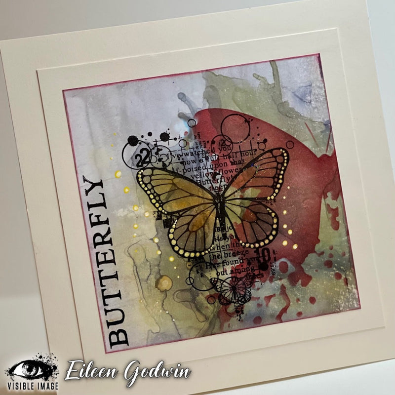 Visible Image Antisocial Butterfly - A6 Stamp Set-4
