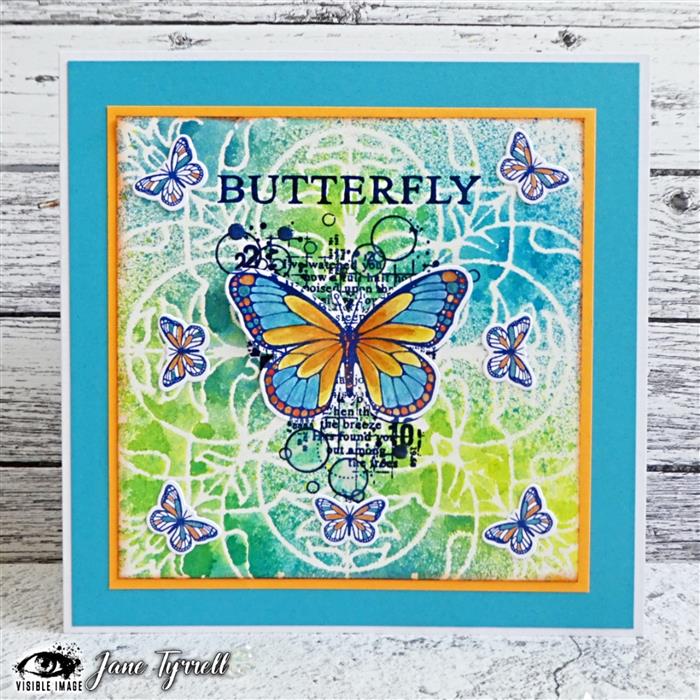 Visible Image Antisocial Butterfly Co-ordinating Dies-2