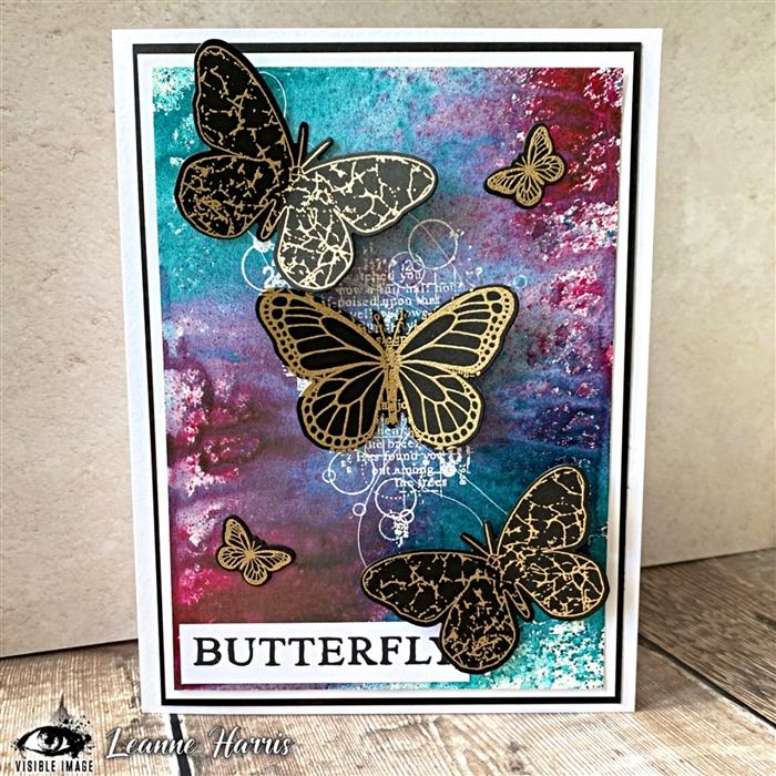 Visible Image Antisocial Butterfly Co-ordinating Dies-3