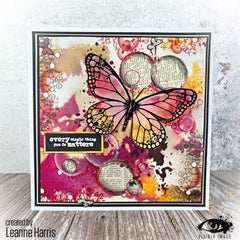 Visible Image Butterfly Effect - A5 Stamp Set-2
