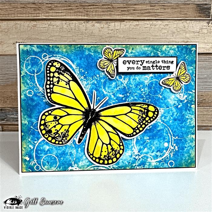 Visible Image Butterfly Effect Co-ordinating Dies-2
