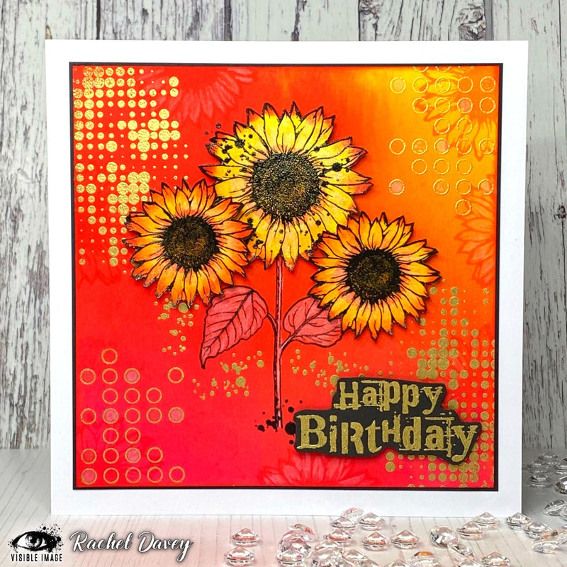 Visible Image Birthday Wishes - A6 Stamp Set-4