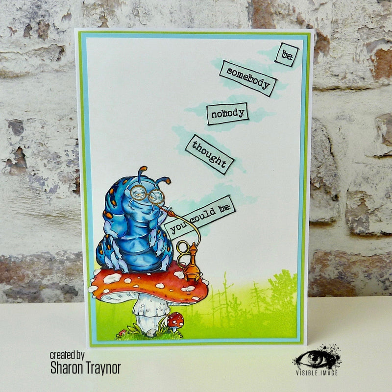Visible Image The Caterpillar - A6 Stamp Set-4