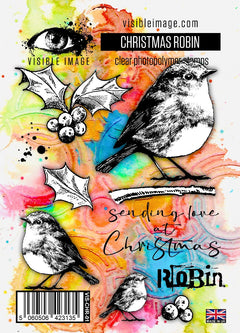 Visible Image Christmas Robin - A6 Stamp Set-1