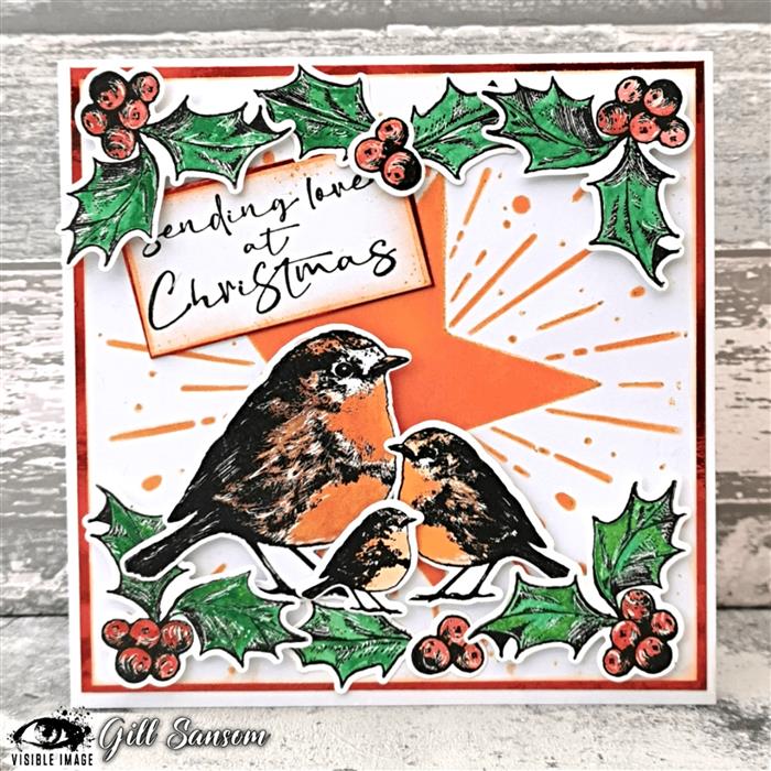 Visible Image Christmas Robin - A6 Stamp Set-2