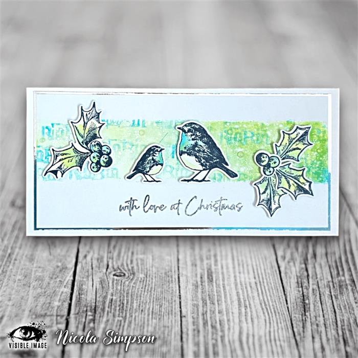 Visible Image Christmas Robin - A6 Stamp Set-3