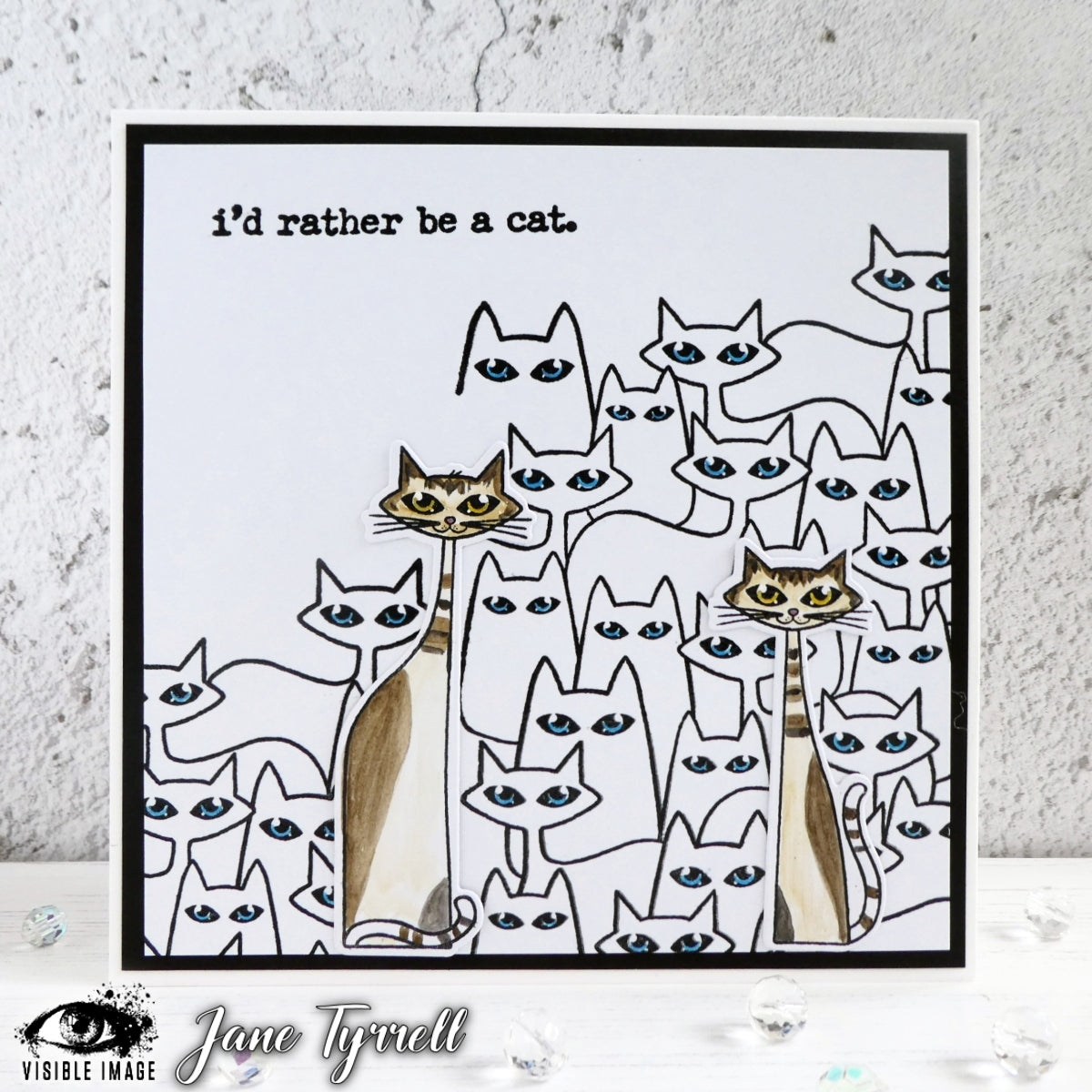 Visible Image Cat-tastic Background - A6 Stamp Set-3