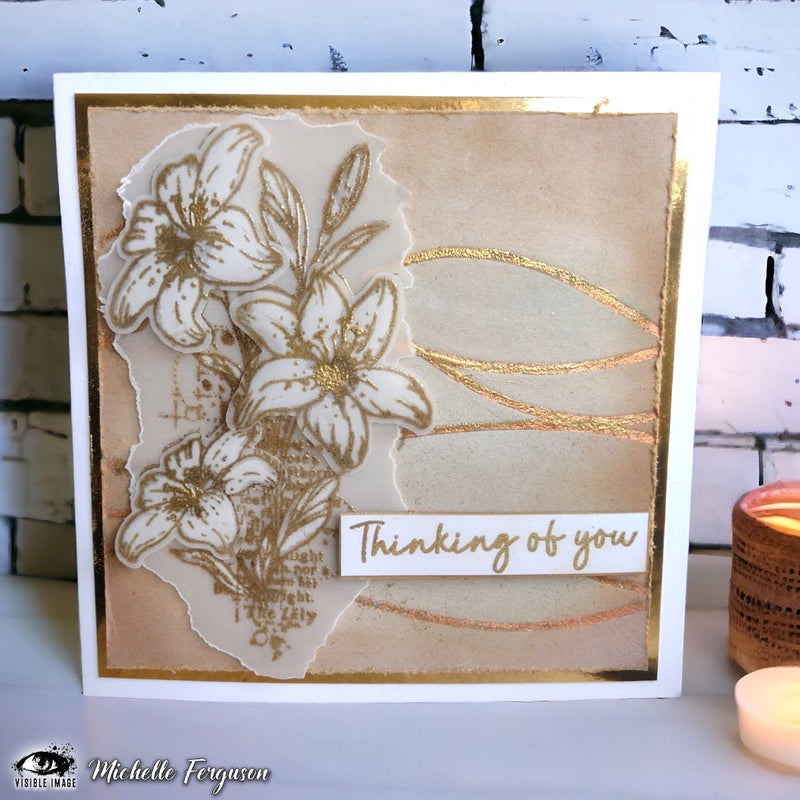 Visible Image Curves Stencil - 6 x 6-2