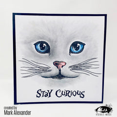 Visible Image Curious Cats - A6 Stamp Set-2