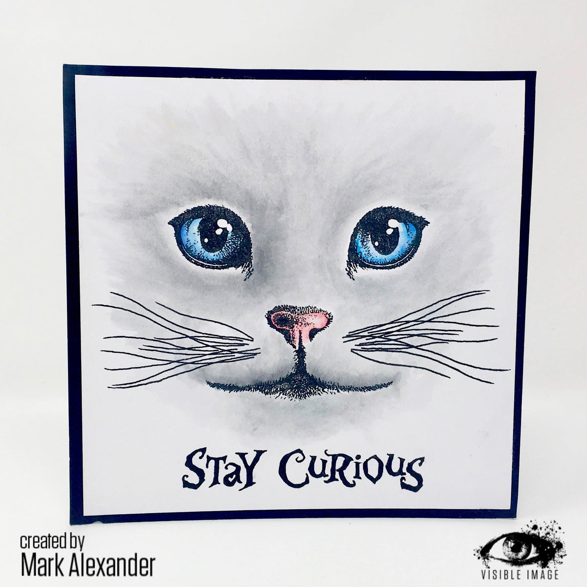 Visible Image Curious Cats - A6 Stamp Set-2