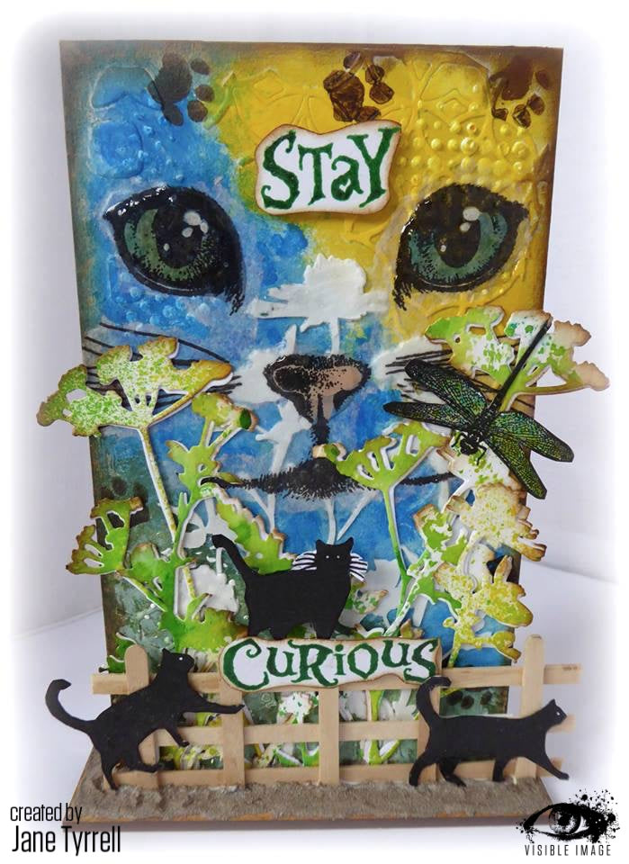 Visible Image Curious Cats - A6 Stamp Set-3