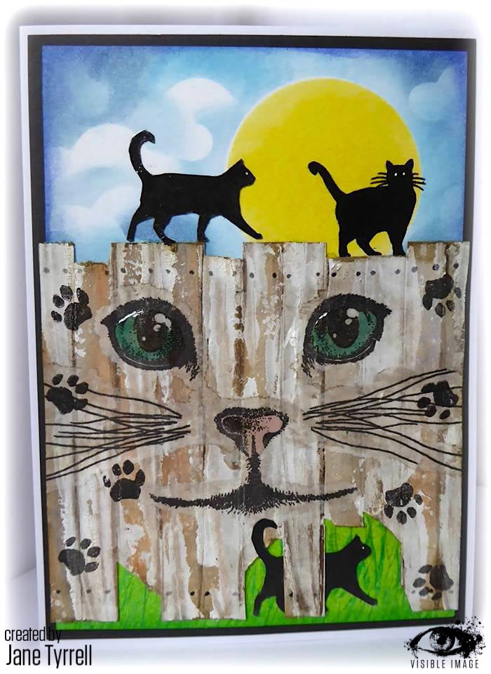 Visible Image Curious Cats - A6 Stamp Set-4