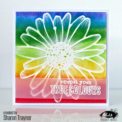 Visible Image Daisy Daisy Stencil - 6 x 6-2