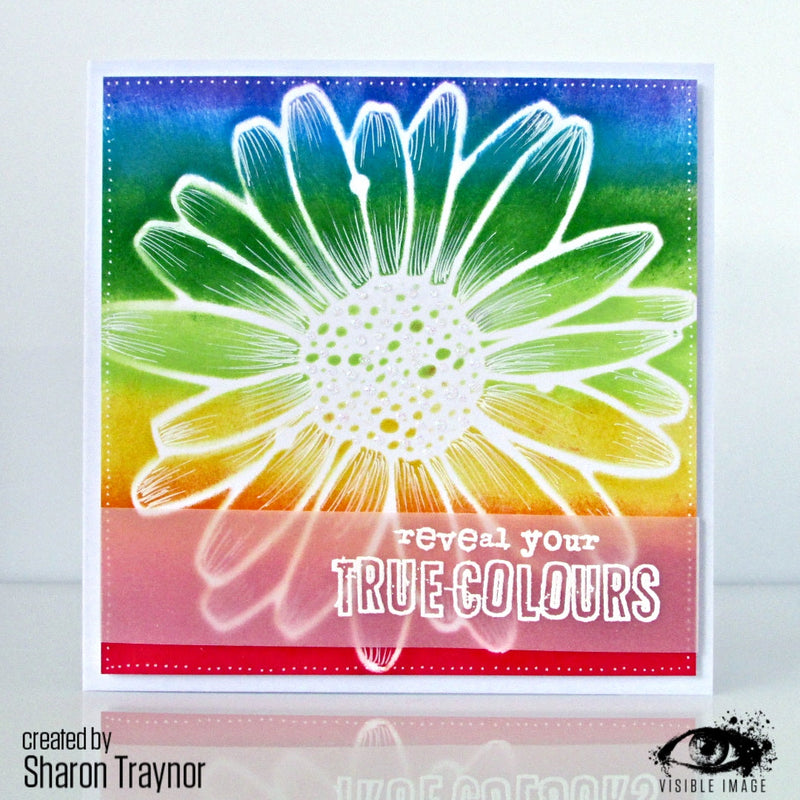 Visible Image Daisy Daisy Stencil - 6 x 6-2