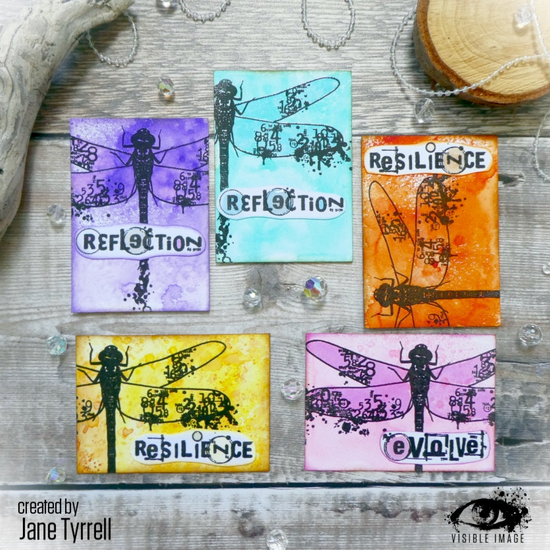 Visible Image Dragonfly Reflection - A5 Stamp Set-4