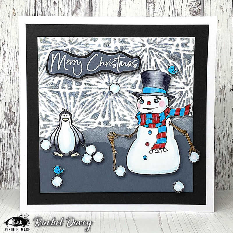 Visible Image Frosty Stencil - 6 x 6-4