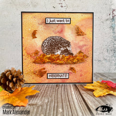 Visible Image Hedgehog Hugs - A6 Stamp Set-2