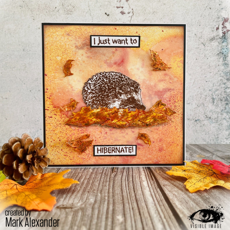 Visible Image Hedgehog Hugs - A6 Stamp Set-2