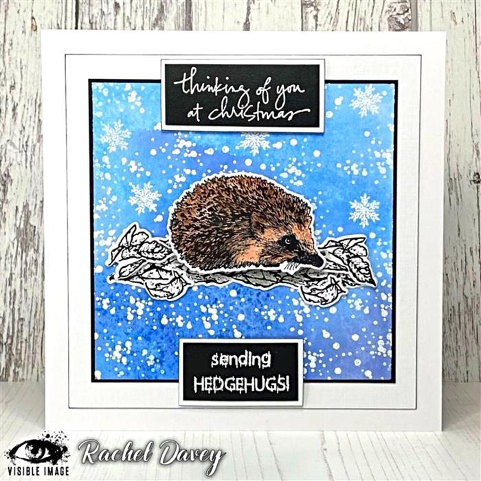 Visible Image Hedgehog Hugs Co-ordinating Dies-2