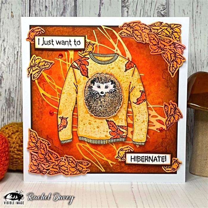 Visible Image Hedgehog Hugs Co-ordinating Dies-3