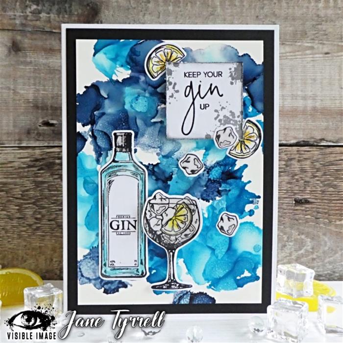 Visible Image Keep Your Gin Up Co-ordinating Dies-2