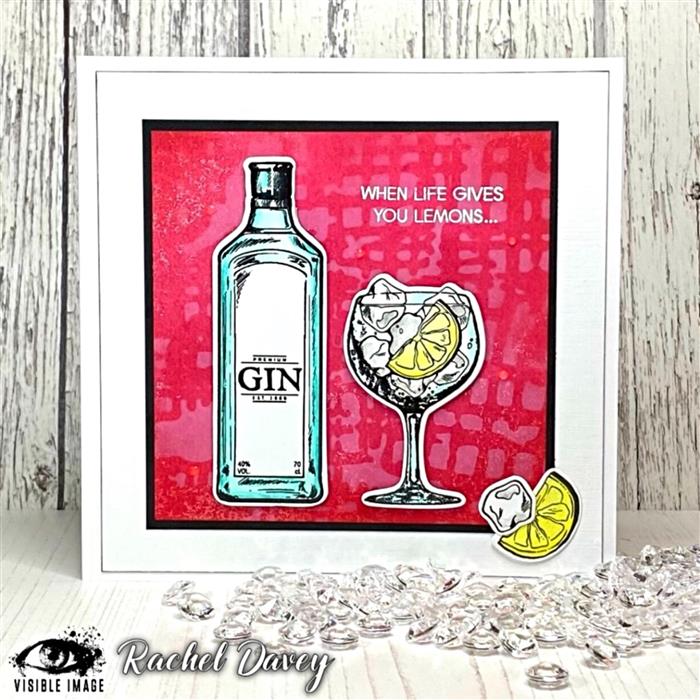 Visible Image Keep Your Gin Up Co-ordinating Dies-3