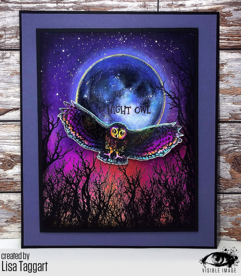 Visible Image Night Owl - A6 Stamp Set-2