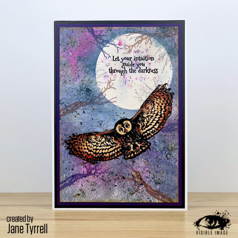Visible Image Night Owl - A6 Stamp Set-3