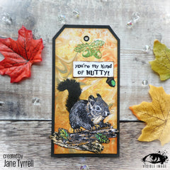 Visible Image Nuts About Squirrels - A6 Stamp Set-2
