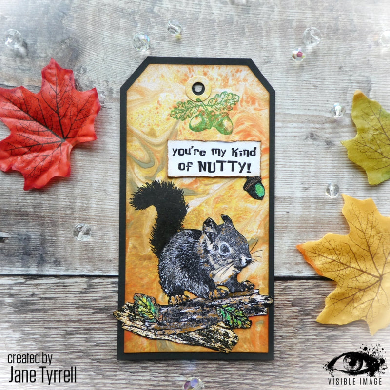 Visible Image Nuts About Squirrels - A6 Stamp Set-2