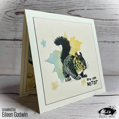 Visible Image Nuts About Squirrels - A6 Stamp Set-3