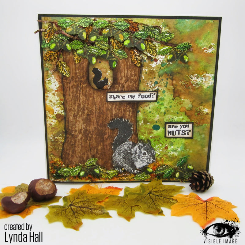 Visible Image Nuts About Squirrels - A6 Stamp Set-4