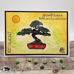Visible Image Resilient Bonsai - A6 Stamp Set-3