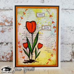 Visible Image Sketched Tulips - A6 Stamp Set-2