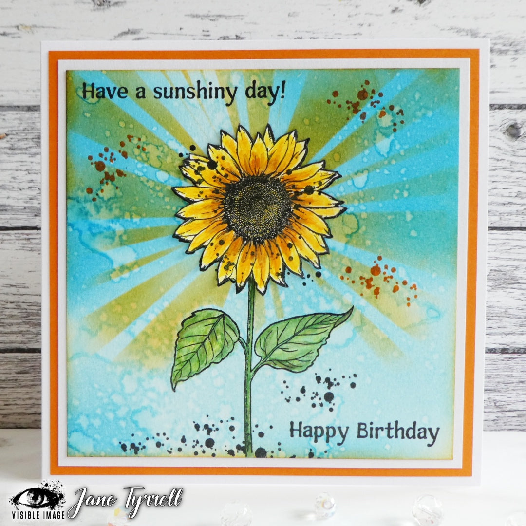 Visible Image Sunflower Grunge - A6 Stamp Set-2