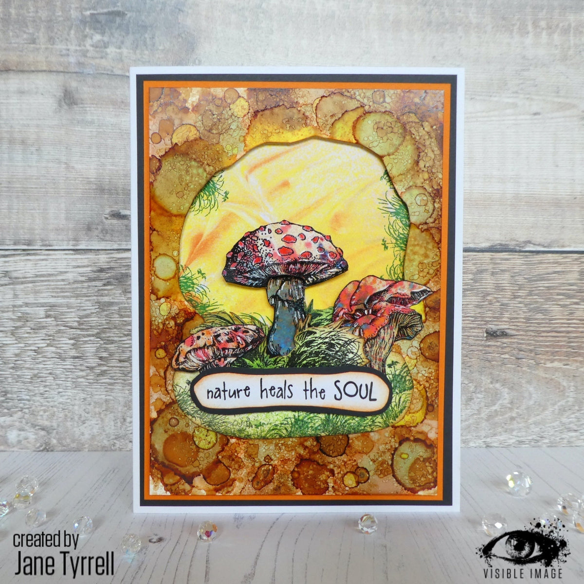 Visible Image Totally Toadstools - A6 Stamp Set-2