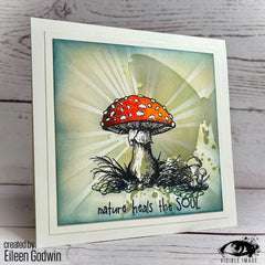 Visible Image Totally Toadstools - A6 Stamp Set-3