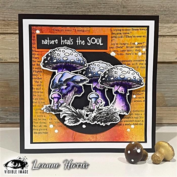 Visible Image Totally Toadstools Co-ordinating Dies-2