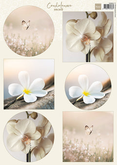 Marianne Design A4 Cutting Sheet - Condolence - Orchid-1