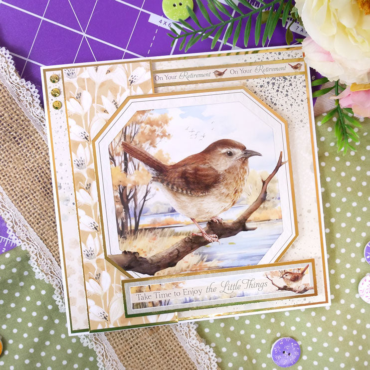 Whopper Topper Pad - Britain's Favourite Birds-3