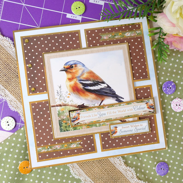 Whopper Topper Pad - Britain's Favourite Birds-5
