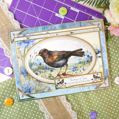 Whopper Topper Pad - Britain's Favourite Birds-7