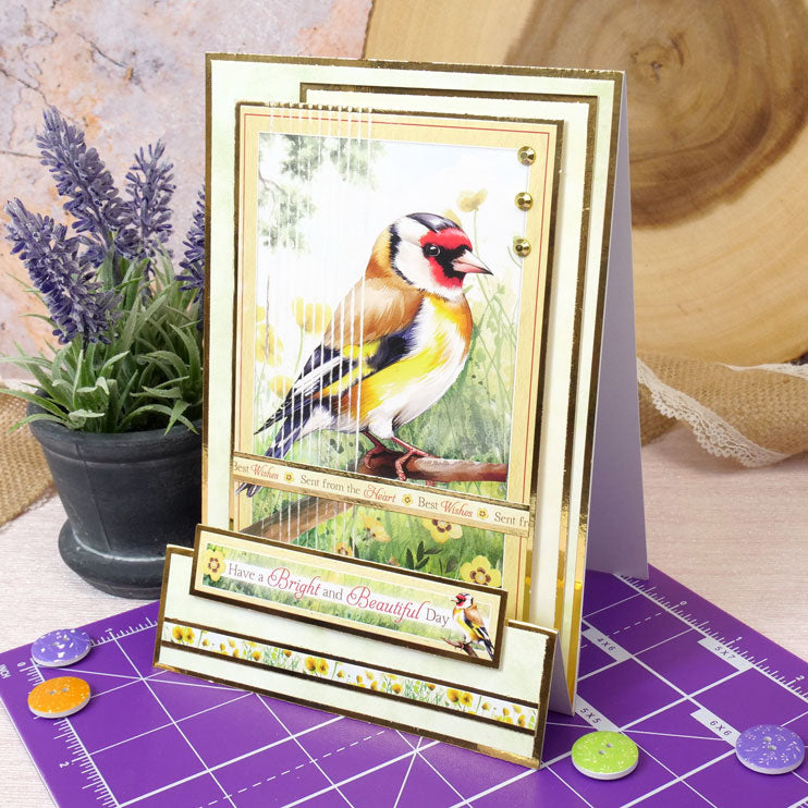 Whopper Topper Pad - Britain's Favourite Birds-8